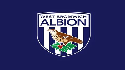 وست بروم يغير رئيس النادى لانقاذة من الهبوط 