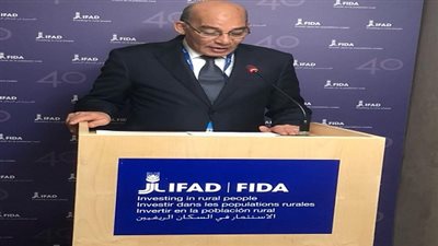 البنا: المشروعات القومية التي أطلقها الرئيس السيسي تستهدف تنمية وتعمير 93% من مساحة مصر