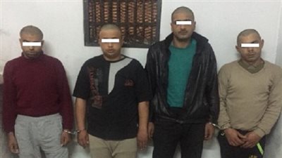 ضبط أربعة أشخاص حال قيامهم بسرقة كابل تليفونى 