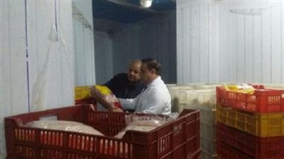 ضبط أحد الأشخاص وبحوزته 11 طن دجاج مجمد منتهية الصلاحية وغير صالحة للإستهلاك 