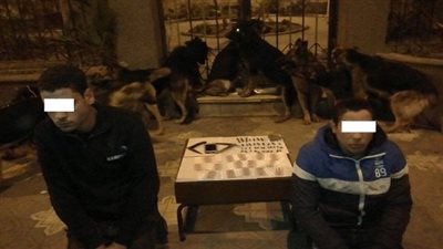 ضبط عنصرين إجراميين لقيامهما بالإتجار بالمواد المخدرة 