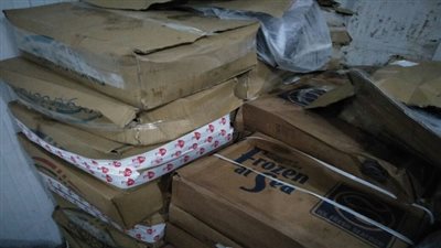 ضبط أحد التجار وبحوزته طن ونصف من الأسماك المستوردة منتهية الصلاحية بقصد ترويجها وبيعها بالأسواق