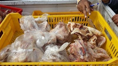 ضبط أسماك وفراخ فاسدة بحملة بمدينة الخانكة