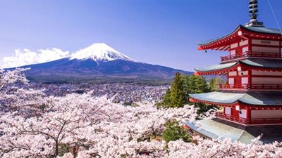 أغرب اختراعات اليابان.. تعرف عليها