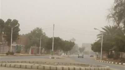 أزمة مناخية في الوادي الجديد.. ماذا حدث؟