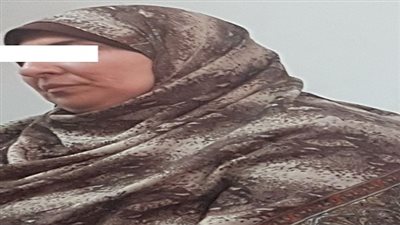 ضبط سيدة أنشأت صفحات وهمية على مواقع التواصل الإجتماعى للنصب والإحتيال 