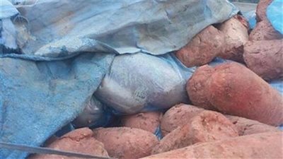 ضبط سيارة نقل محمله بنصف طن لانشون منتهى الصلاحية ببنها