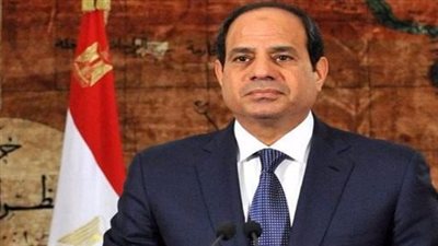 حملة هنشارك لدعم الرئيس السيسى تعلن عن منسقى المراكز خلال ساعات