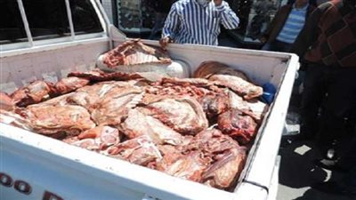 ضبط 12 طن لحوم غير صالحة للإستخدام الآدمي بالقليوبية