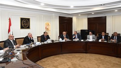 مدبولي: 4 شركات من ملاك 