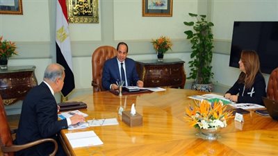السيسي يستعرض سبل تفعيل آلية التأمين الاجتماعي