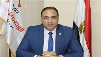 برلمانى: الرئيس السيسى يصر على عودة مصر لمكانتها الطبيعية