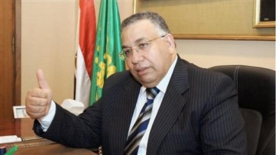 بالفيديو.. وكيل النواب: الحب الكبير من المصريين للسيسي يغني عن أي كلام