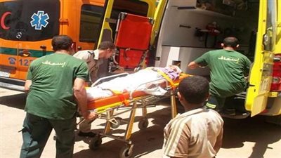 مصرع وإصابة ١٢ شخص في حادث تصادم بالقليوبية