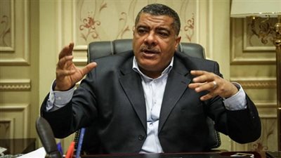 برلماني : دعوة الرئيس السيسي لتمكين المرأة جزء من رد جميلها على الوطن