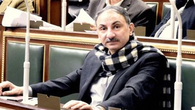 برلماني: العالم يشاهد احتشاد المصريين أمام لجان الانتخابات