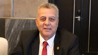 برلماني: مصر تبدأ المرحلة الأخيرة من البناء والحصاد