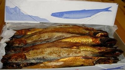 ضبط 3.5 طن رنجة فاسدة قبل أعياد شم النسيم بالقليوبية