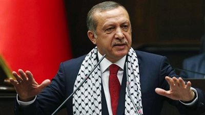 أردوغان: وحدة أراضي سوريا تعتمد على البعد عن الإرهاب