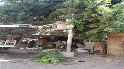بالصور.. حملة لصيانة أعمدة الإنارة إستعدادا لشم النسيم بالقناطر