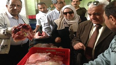 بالصور.. إعدام 11 طن دواجن وأسماك غير صالحة للإستخدام الآدمى بشبرا الخيمة