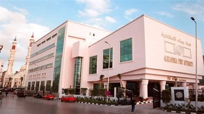 انتظام حركة العمل ونشاط في حركة السفن والبضائع في ميناء الإسكندرية 