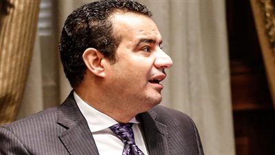 نائب يشيد بدور الكنيسة في حماية مصر خلال ما شهدته البلاد من أحداث