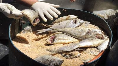 ضبط 300 كيلو فسيخ ورنجة فاسدة بمحل أسماك شهير في الجيزة