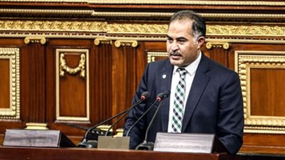 وكيل مجلس النواب: سيناء ستتحرر من دنس الخوارج في القريب العاجل