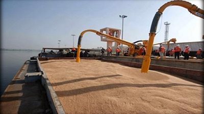 وصول 63 الف طن قمح روسى لميناء سفاجا