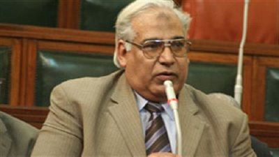 برلمانى: القاهرة لا يوجد لها مثيل فى انتشار البلطجية فى الشوارع لفرض اتاوات على إنتظار السيارات 