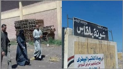 وكيل وزارة الزراعة يتفقد صوامع القمح بسبب الطقس السيئ بالدقهلية