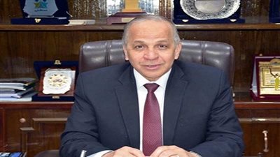 محافظ القليوبية يصرف 10 آلاف جنيه تعويضا لأسرة عن صعق حمارين بالكهرباء