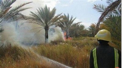 السيطرة على حريق بأرض زراعية بها أسلحة نارية بالخانكة