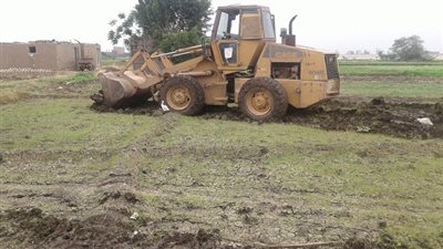 بالصور.. إزاله 6 مشاتل أرز بقرية مشتهر بطوخ