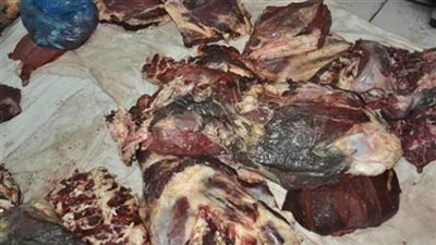 ضبط 1.160 طن سلع غذائية منتهية الصلاحية داخل مجزر بالبحيرة