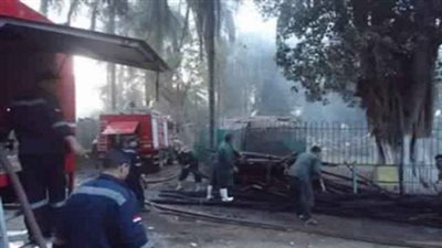 السيطرة على حريق في حديقة مدرسة الزراعة بمسطرد بشبرا الخيمة