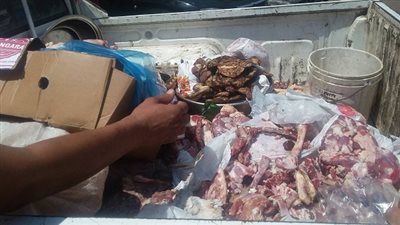التحفظ على كمية كبيرة من اللحوم الفاسدة داخل احدى مطاعم الدقهلية 