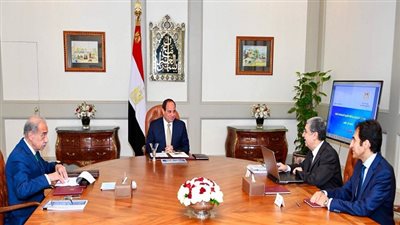 السيسي يؤكد.. أهمية مواصلة جهود التحديث الشامل لقطاع الكهرباء