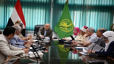 محافظ القليوبية يترأس اللجنة العامة للأمومة والطفولة 