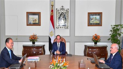 السيسي يستقبل نائب رئيس مجموعة شركات 
