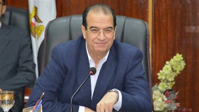 ضبط كمية كبيرة من اللحوم الغير صالحة للأستهلاك الادمي بالدقهلية 