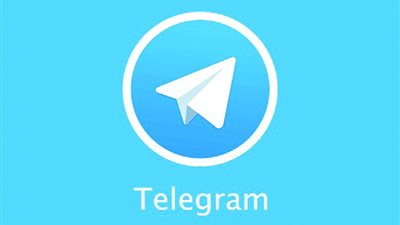 الداخلية الفرنسية: رصدنا نشاط الشقيقين المصريين من خلال 