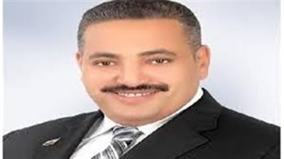 برلماني: مصر تسير على خطة اقتصادية ناجحة