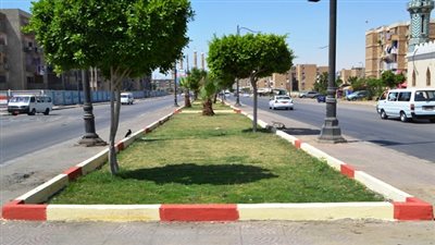 تطوير وتجميل الجزيرة الوسطي بطريق ناصر بالسويس