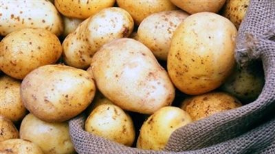 الزراعة: روسيا ترفع حظر استيراد البطاطس من 8 مناطق مصرية  