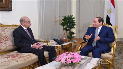 السيسي يكلف الحكومة بتسيير الأعمال لحين تشكيل حكومة جديدة