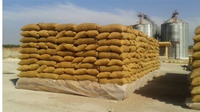 استمرار توريد القمح بشون الدقهلية 