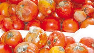 إطمن على نفسك.. ضبط  15 طن أغذية فاسدة في الأسواق