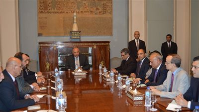 شكرى:مصر تدعم الحل السياسي في سوريا بدون تدخلات خارجية